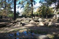 Imagine atasata: Zoo Berlin 0290.JPG